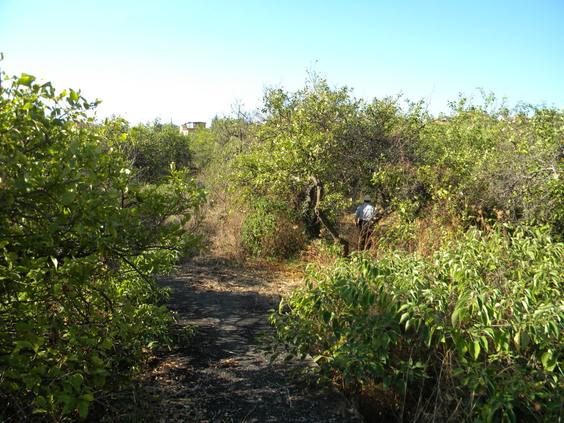 DSCN8096 .JPG